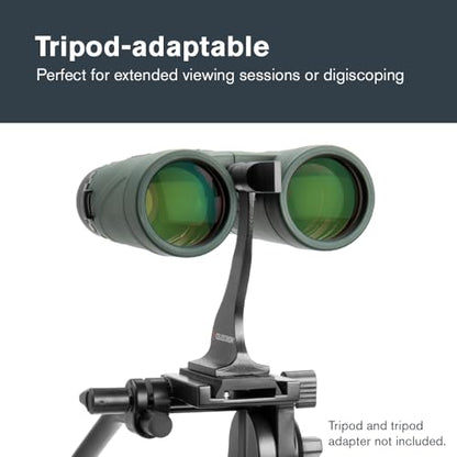 Celestron 42mm 71332 Nature DX 8x Binoculars