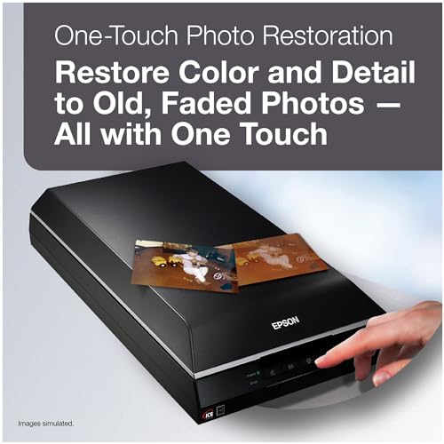 Epson 19" Perfection V600 Photo 600 DPI Flatbed Scanner