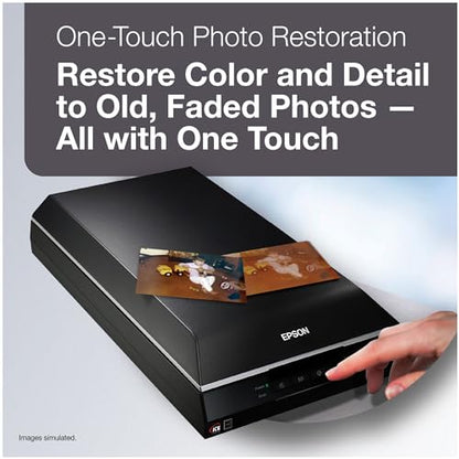 Epson 19" Perfection V600 Photo 600 DPI Flatbed Scanner