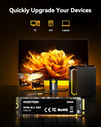 KOOTION 256GB M.2 NVMe PCIe 3.0 Internal Solid State Drive Model 92f69a6d-b16f-407e-83f8-3b946fa61257
