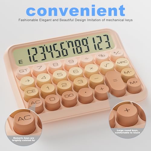 Decklit 12-Digit LCD Basic Desktop Calculator Model Verloop Roze Battery Powered Gradient Pink