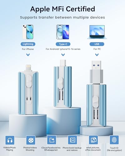 LESOGE 256GB LES2456 MFi Certified Lightning and USB Memory Stick