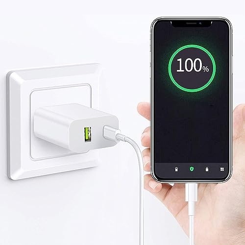 DENGWENQIANG 20W Dual Port USB Type A and USB Type C Wall Charger OFS-391