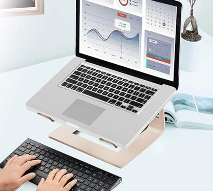 Orionstar 10-15.6 inch M5 Ergonomic Aluminum Laptop Stand Desktop Holder