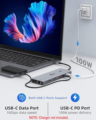 LIONWEI 13-in-1 USB C Docking Station 4K - Dual HDMI, 10Gbps, USB 3.0, 3.5mm Audio, Ethernet