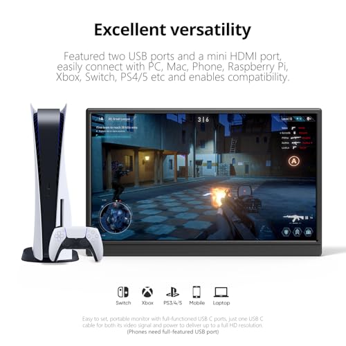 Anyuse 15.6 Inches PM1561P FHD 60Hz LCD Monitor