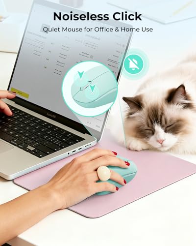 seenda Wireless Mouse for Laptop 2.4G Noiseless Mouse USB Receiver Optical Right Hand 3 Button Compact