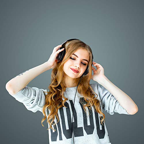 LORELEI X6 40 mm Wired Over-Ear Headphones with 3.5mm Jack, 20 Hz - 20 KHz, 110 dB Sensitivity, Plastic Enclosure
