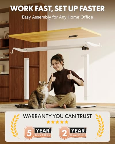 FLEXISPOT 48x24 156E Seamless Electric Height Adjustable Standing Desk
