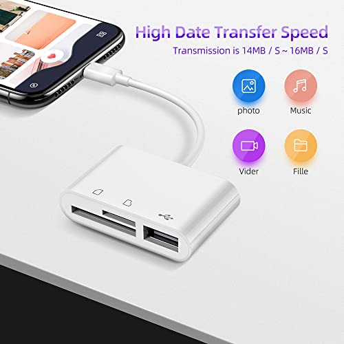 RayCue 2.76x0.79x0.39 in USB C Memory Card Reader A-CIGNA-CHECHONG