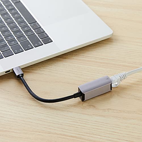Amazon Basics 2 Port RJ45 Gigabit Ethernet Adapter No Plug UTC-GE-AL