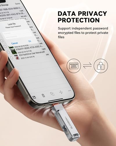 BLANBOK+ 256 GB USB Flash Drive BLA2514