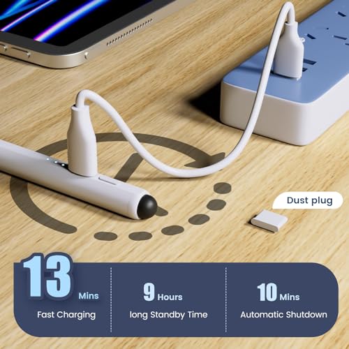 STYLUSHOME 1 Lithium Polymer FS002 Stylus Pen for iPad Pro 12.9/11/10/9/8/7/6/Air/M2/M4/Mini/5/6