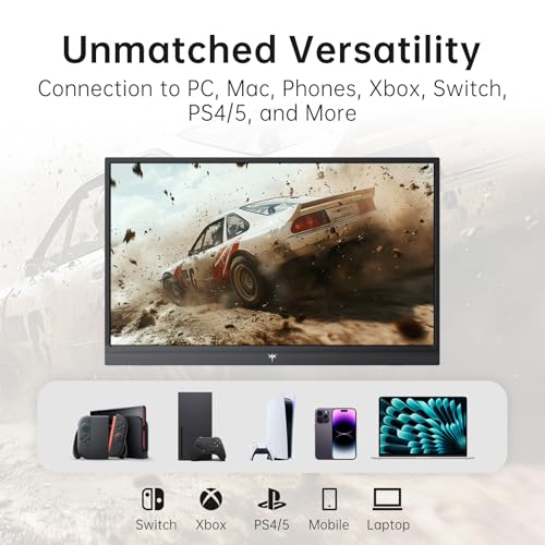 KTC 15.6 Inch H15F9 FHD 1080p 60 Hz IPS Portable Monitor