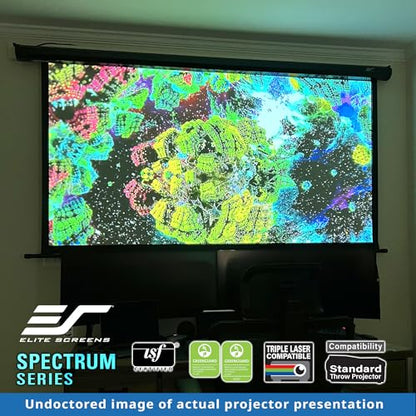 Elite Screens 125-Inch Diagonal ELECTRIC125H2 Projection Screen Matte Finish 180 Degree Viewing Automatic Black Case