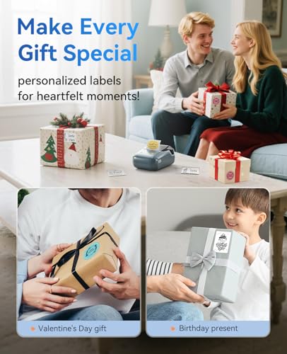 NIIMBOT B1 Thermal Label Maker Bluetooth Portable Monochrome 203dpi 1 Count Desktop Printer