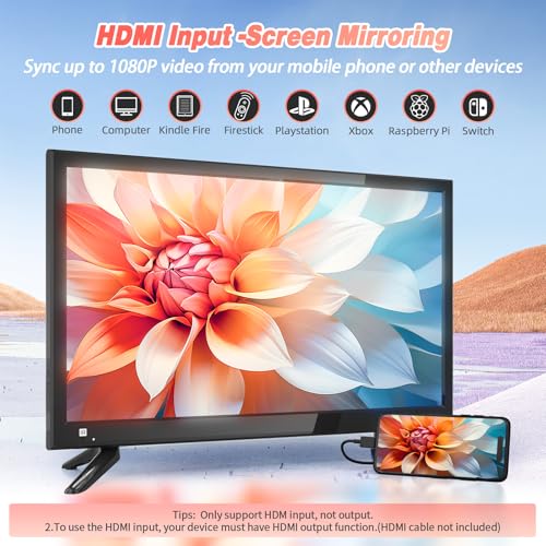 OSHPRO 19 Inch 191TV1-2 768p 90Hz LED Television