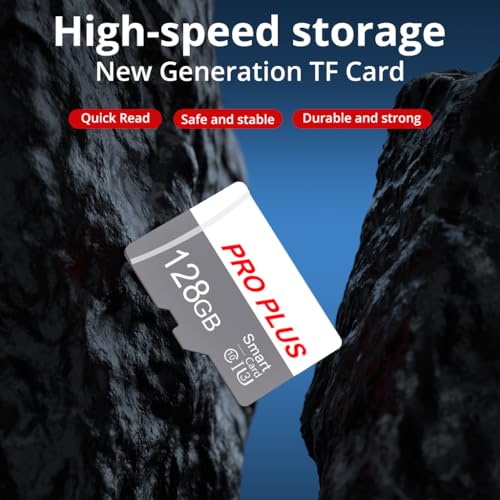 Bliksem 128GB TF183 Micro SD Memory Card Class 10 UHS-I with Adapter Dual Pack