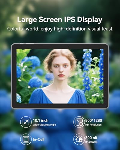 ADREAMER 10.1" WinsPad 10 Pro Tablet 1280x800 60Hz LCD