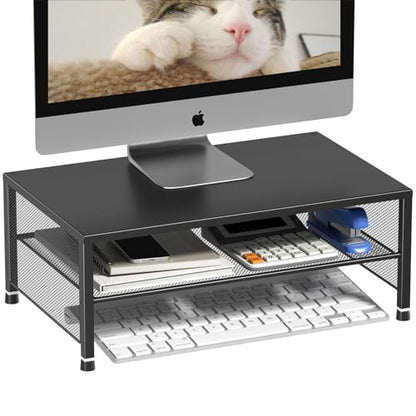 ECOLOVI 2-Tier Monitor Stand - Black - Monitor Stand for Laptops & Printers - Easy Assembly