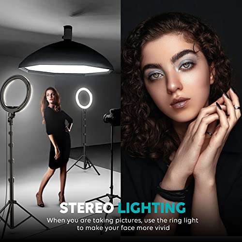Weilisi 10 Inch Ring Light RL201W USB Powered Tripod Standwith 1 Count Media
