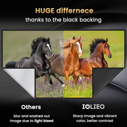 Iolieo 120 inch 16:9 Projector Screen Matte Polyester Wall Mount