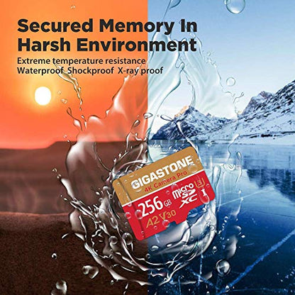 Gigastone 256GB GS-2IN1666XU3V30A1 Micro SDXC Card UHS-I U3 C10 V30