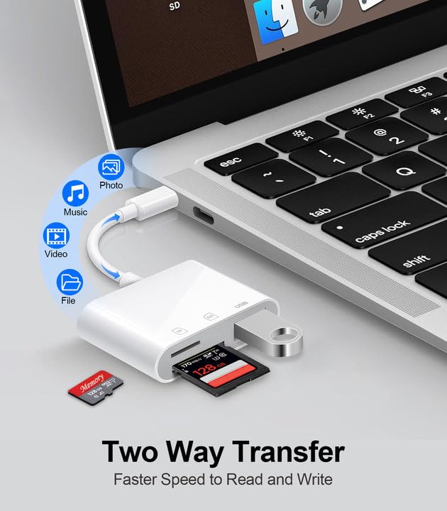 Denlane USB Type C SD Card Reader Dual Slot High Speed Transfer