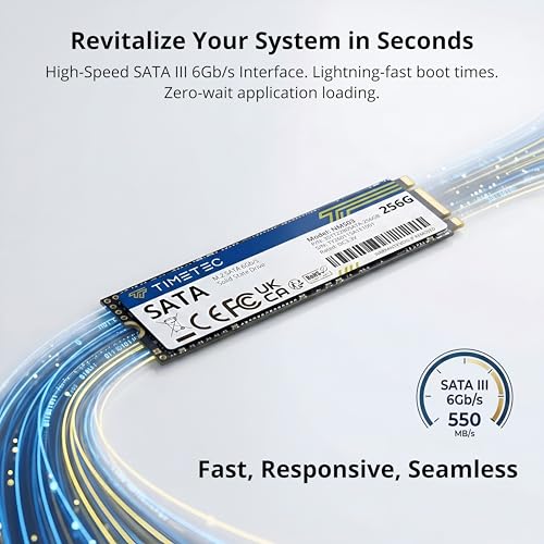 Timetec 256GB Solid State Drive SATA III 6Gb/s M.2 2280 JM600 Internal Storage