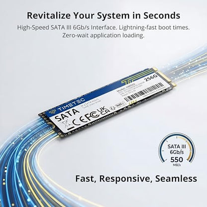Timetec 256GB Solid State Drive SATA III 6Gb/s M.2 2280 JM600 Internal Storage