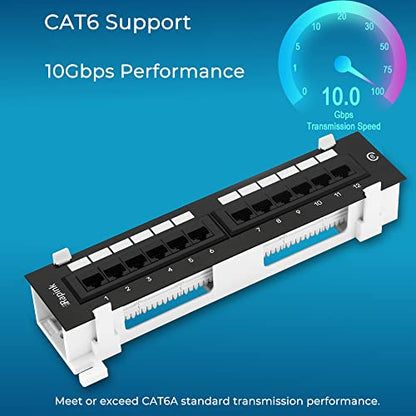 Rapink 12 Port Cat6 Patch Panel 10G Support Network Patch Panel UTP 10-Inch Wall Mount 1U