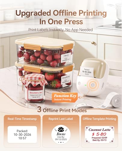 NIIMBOT B2 Pro Portable Thermal Label Maker 300 DPI Color Printing
