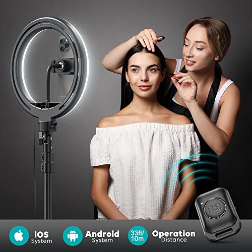 Weilisi 10 Inch Ring Light RL201W USB Powered Tripod Standwith 1 Count Media