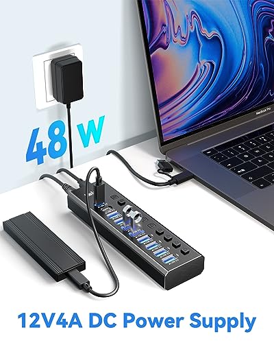 LEINSIS 10-Port Powered USB Hub KZW-U10217B