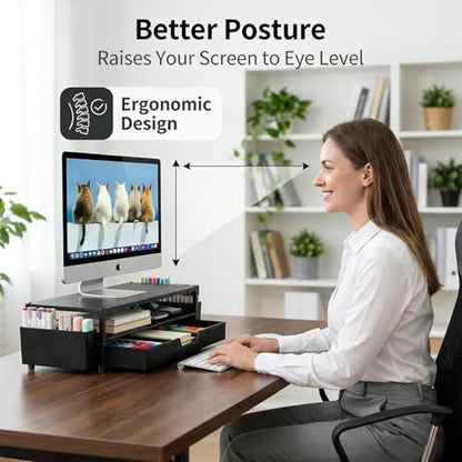 ECOLOVI 2-Tier Monitor Stand EC-MS1 Ergonomic Black