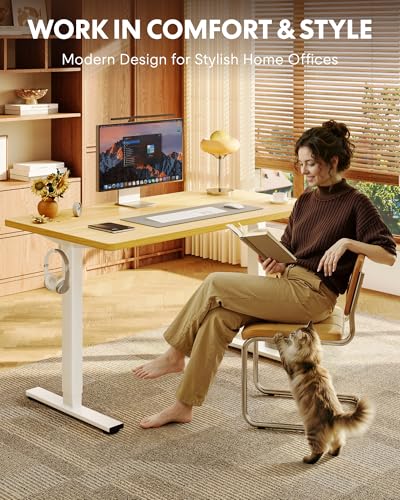 FLEXISPOT 48x24 156E Seamless Electric Height Adjustable Standing Desk