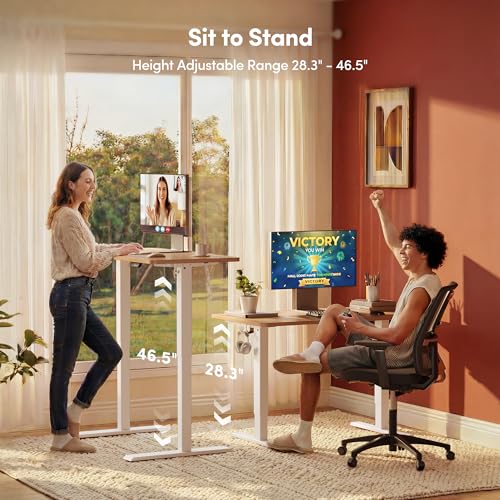 FEZIBO Electric Height Adjustable Standing Desk 48"x24" Maple Surface Steel Frame