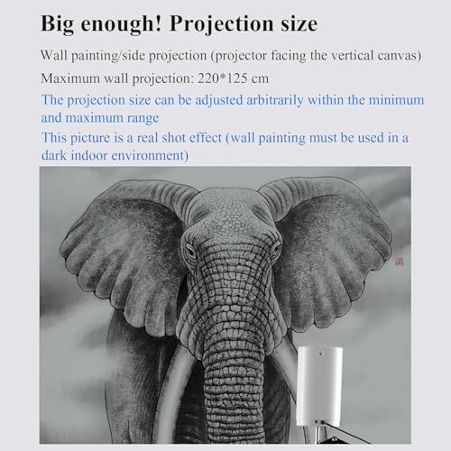 SICWEDIM Art Projector 1920 x 1080 Resolution Manual Focus LCD Projector