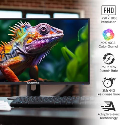 Sceptre 24" E248W-19203R FHD 1080p 60Hz LED Monitor