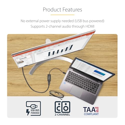 StarTech 7.5 x 1 x 0.5 inches USB32HDES 1080P 60Hz A/V Adapter