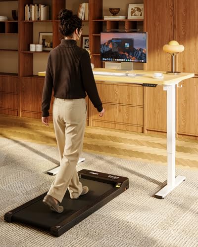 FLEXISPOT 48x24 156E Seamless Electric Height Adjustable Standing Desk