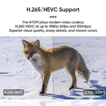 NEUMITECH Atom HDMI Remote Controlled Digital Media Player 1920x1080 Pixels