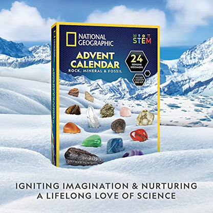 Blue Marble Advent Calendar NGRMFADVENT2 Educational Kit 24 Specimens Multicolor