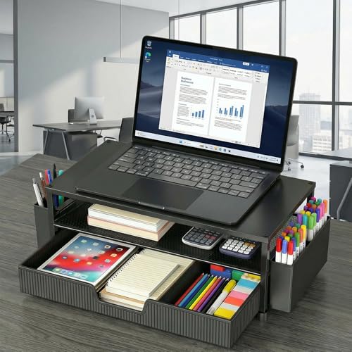 ECOLOVI 2-Tier Monitor Stand EC-MS1 Ergonomic Black