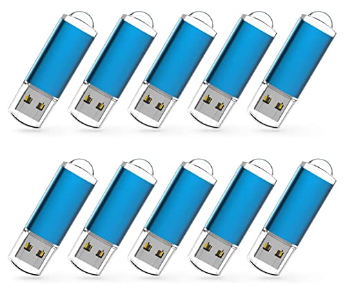 RAOYI 1GB USB 2.0 Flash Drive Model U215BL1G-10 Bulk Pack