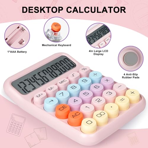 DANRONG 4 Inch CA07 12-Digit LCD Business Calculator