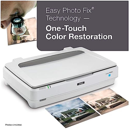 Epson 12" x 17" Expression 13000XL 2400 DPI CCD Photo Scanner