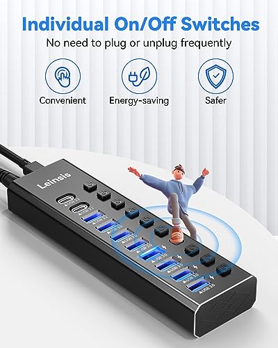 LEINSIS 10-Port Powered USB Hub KZW-U10217B