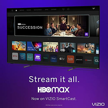 VIZIO 24 D24F-J09 1080p 60Hz LCD TV