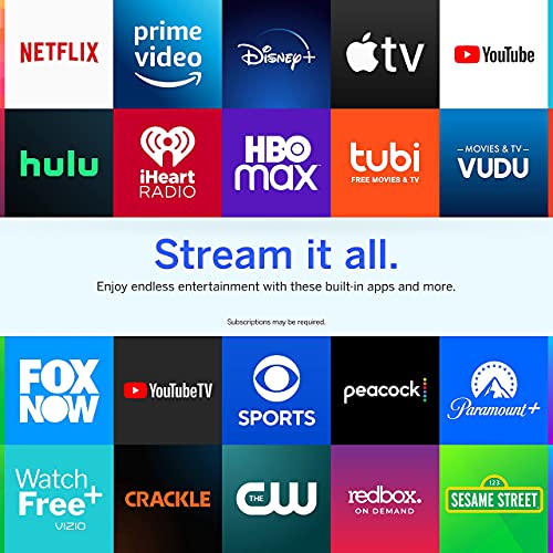 VIZIO 24 D24F-J09 1080p 60Hz LCD TV